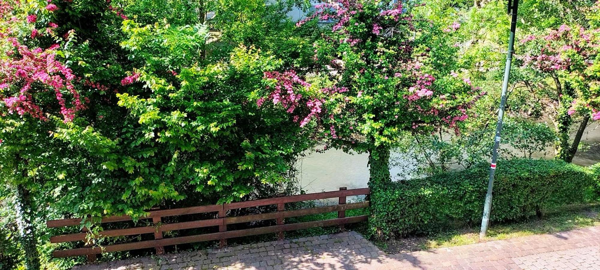 Alte Stadtmauer - Apartment Sinsheim Exterior photo